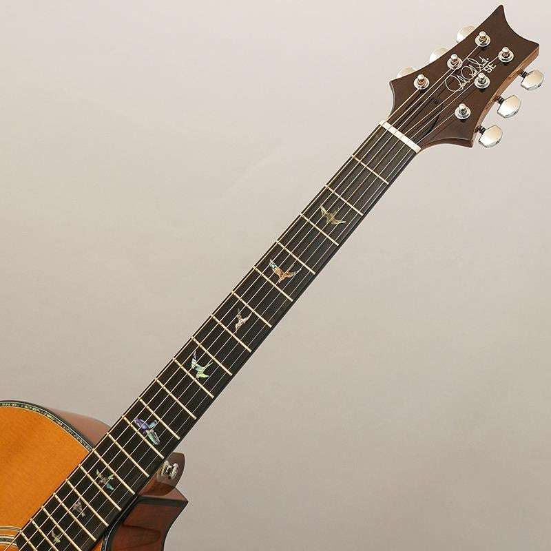 Used_SE_Angelus_A50E_(Nat_Black_Gold_Burst)_Paul_Reed_Smith_10