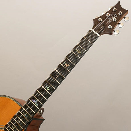 Used_SE_Angelus_A50E_(Nat_Black_Gold_Burst)_Paul_Reed_Smith_10
