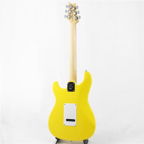 Used_SE_Silver_Sky_(Dandy_Lion)_[SN_H032947]_Paul_Reed_Smith_03