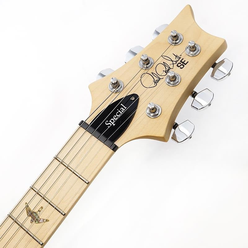 Used_SE_Swamp_Ash_Special_(Iri_Blue)_SN_CTIF072511_07