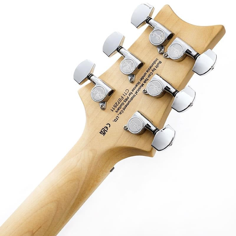 Used_SE_Swamp_Ash_Special_(Iri_Blue)_SN_CTIF072511_08