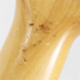 Used_ST72-500_CST-50M_(CAR)_[SN_K039463]_Fender_10