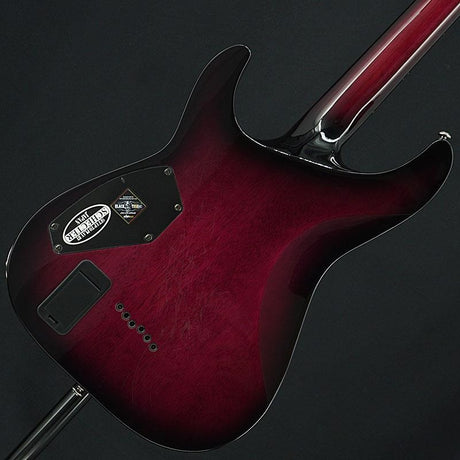 Used_Schecter_AC-C-1-HR_TPB_[SN_W15111663]_02