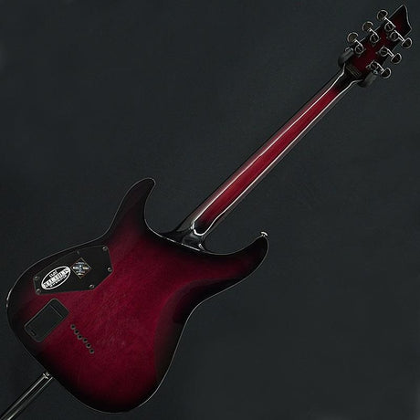Used_Schecter_AC-C-1-HR_TPB_[SN_W15111663]_04
