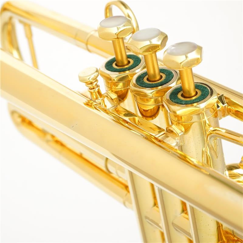 Used_Silky_X3L-GP_#40__1_Bb_Trumpet_[Pre-tuned_for_peace_of_mind]_05