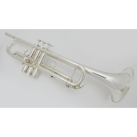 Used_Silky___S22HD_SP_#58__2_[Bb_Trumpet]_02