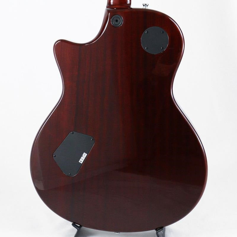 Used_Taylor_XXXV_T3-C_35th_Anniversary_Cocobolo_[SN_20090715602]_04