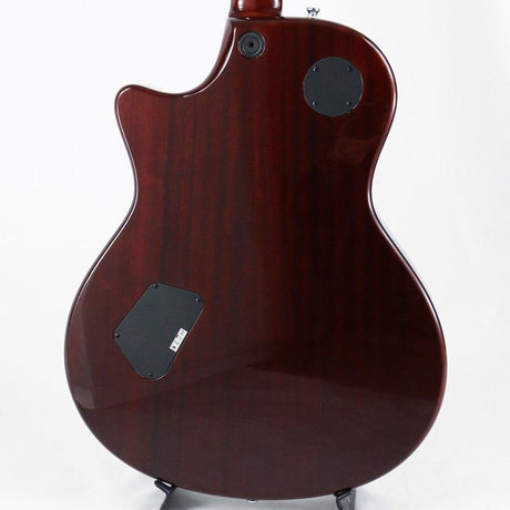 Used_Taylor_XXXV_T3-C_35th_Anniversary_Cocobolo_[SN_20090715602]_04