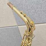 Used_Yamaha_Alto_Saxophone_YAS-875EX(I)_S_N__C40xx1_[Shipped_after_adjustment_and_setup]_[Free_key_balance_adjustment_for_5_years]_[Autumn_Super_Sale]_02