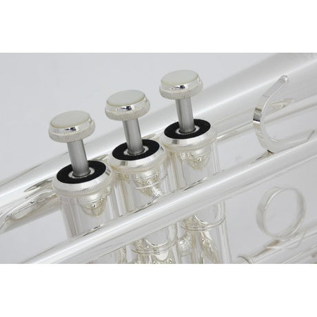 Used_Yamaha_YCR-6330IIS_(modified)_#C69__6_[Bb_A_Cornet]_09