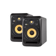 V6_S4_(pair)_01