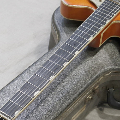 VINTAGE_6120_Chet_Atkins_Nashville_'64_09