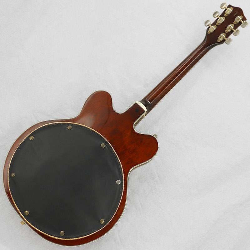 VINTAGE_6122_Chet_Atkins_Country_Gentleman_'67_03