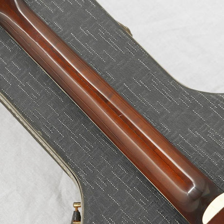 VINTAGE_6122_Chet_Atkins_Country_Gentleman_'67_08