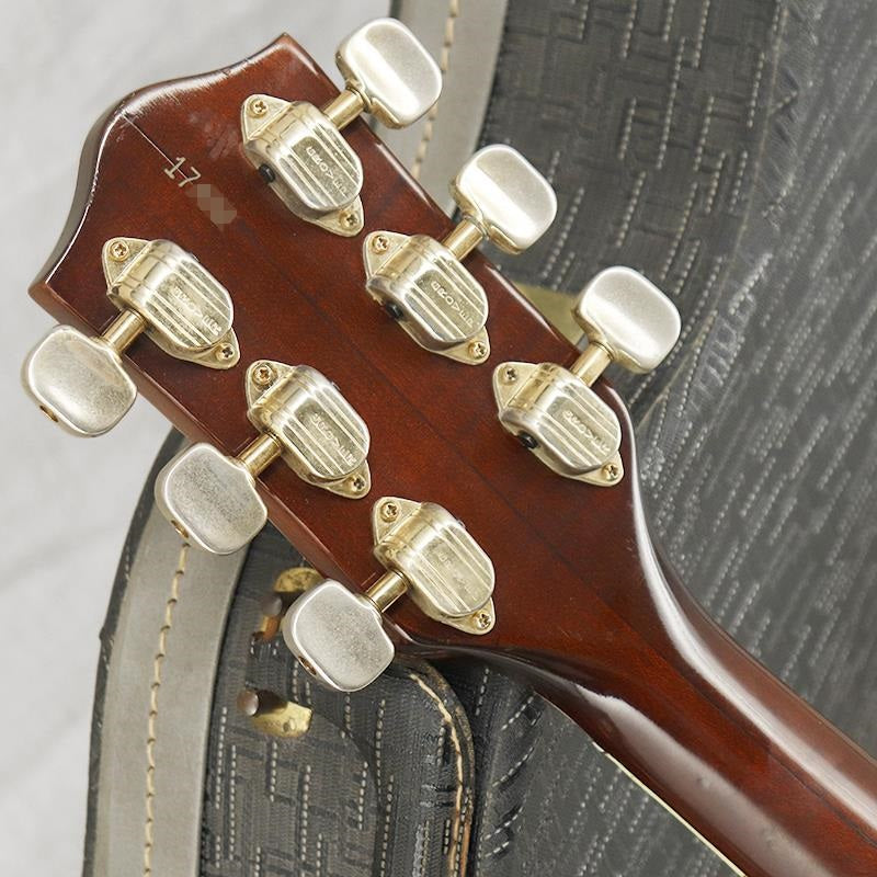 VINTAGE_6122_Chet_Atkins_Country_Gentleman_'67_10