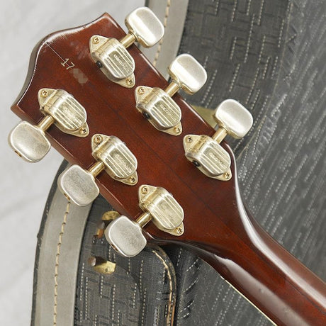 VINTAGE_6122_Chet_Atkins_Country_Gentleman_'67_10