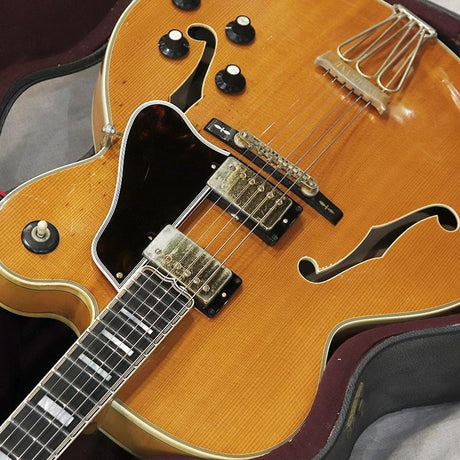 VINTAGE_Byrdland_'76_Natural_06