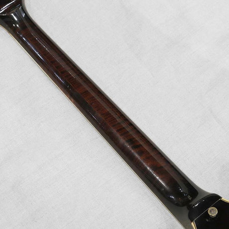 VINTAGE_ES-Artist_'79_Antique_Fireburst_08