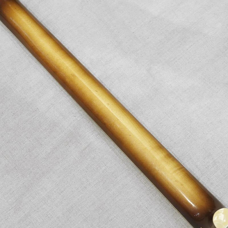 VINTAGE_Model_500_1_Bass_'66_08