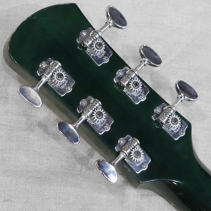 VINTAGE_SA-30T_'66_Alga_Green_09