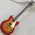 VINTAGE_SG-800S_'82_01