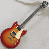 VINTAGE_SG-800S_'82_01