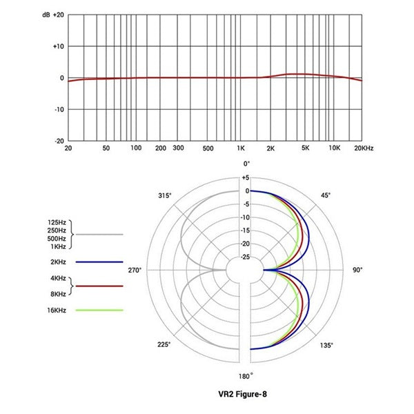 VR2_(Active_Ribbon_Microphone)_(SE_Electronics)_06