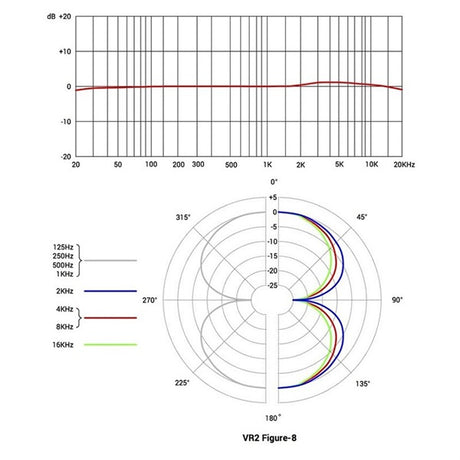 VR2_(Active_Ribbon_Microphone)_(SE_Electronics)_06