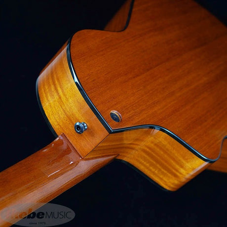 Veillette_Guitars_15_STUDIO_CUTWAY_7_Strings_CUSTOM_Veillette_Veillette_05