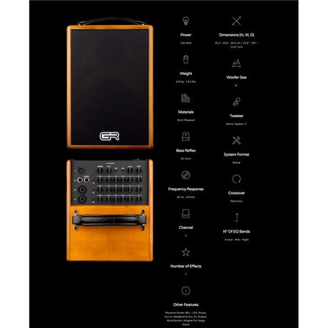 WD_Acoustic_6_02