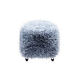WS-86_(Windscreen_for_Portacapture_DR_series)_01