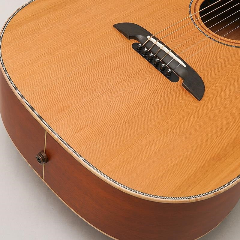 WY-1_CTM_Cedar___Mahogany_[Heartman_Guitars_Original_Order_Model]_08