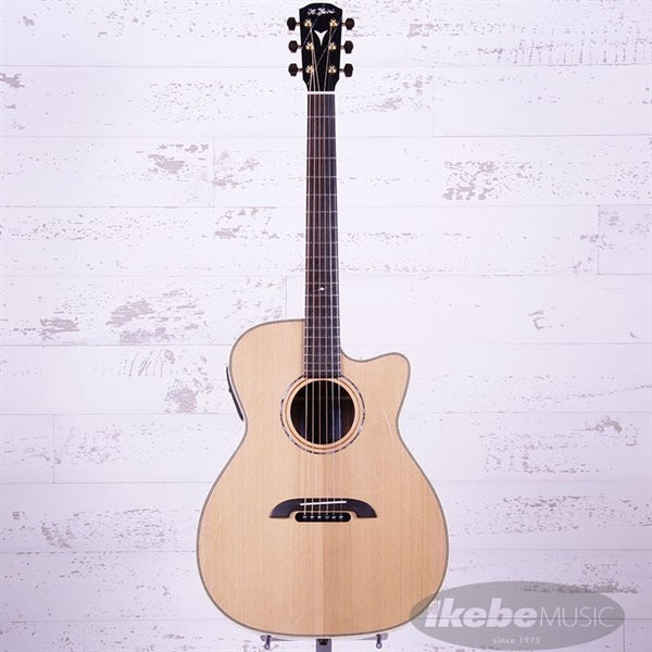WY-1_NT_K_Yairi_03