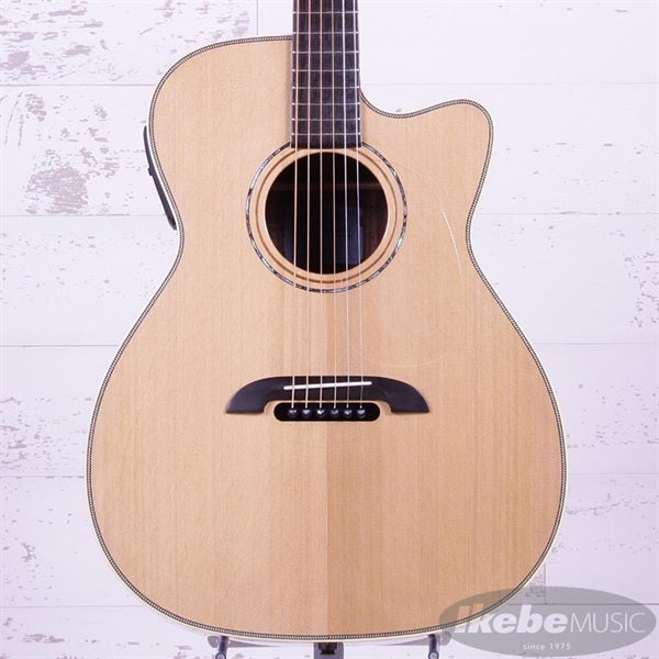 WY-1_NT_K_Yairi_05