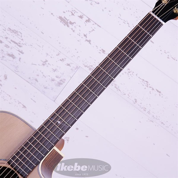 WY-1_NT_K_Yairi_09