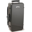 Wanjin_Case___3K_Natural_Carbon_Series_(Glossy_Black___Black)_Triple_Trumpet_Case_01