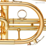 Yamaha___YCR-4330GSII_[Bb_Cornet]_[5-Year_Warranty]_[Pre-shipment_Adjustment_for_Peace_of_Mind]_05