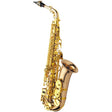 Yanagisawa_A-WO20_Alto_Saxophone_[Adjusted_and_Set_Up_Before_Shipment]_[Free_Key_Balance_Adjustment_for_5_Years]_01