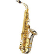 Yanagisawa_A-WO37_Alto_Saxophone_[Adjusted_and_Set_Up_Before_Shipment]_[Free_Key_Balance_Adjustment_for_5_Years]_01