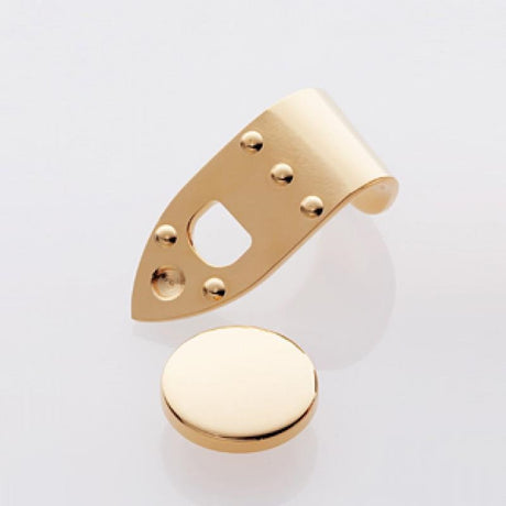 Yanagisawa_Sam's_Wizard_(Brass_Gold-Plated_Finish)_for_Selmer_02