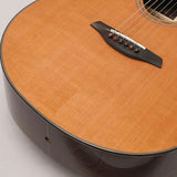 Yellow_Gc-CRa_#133830_Forhi_08