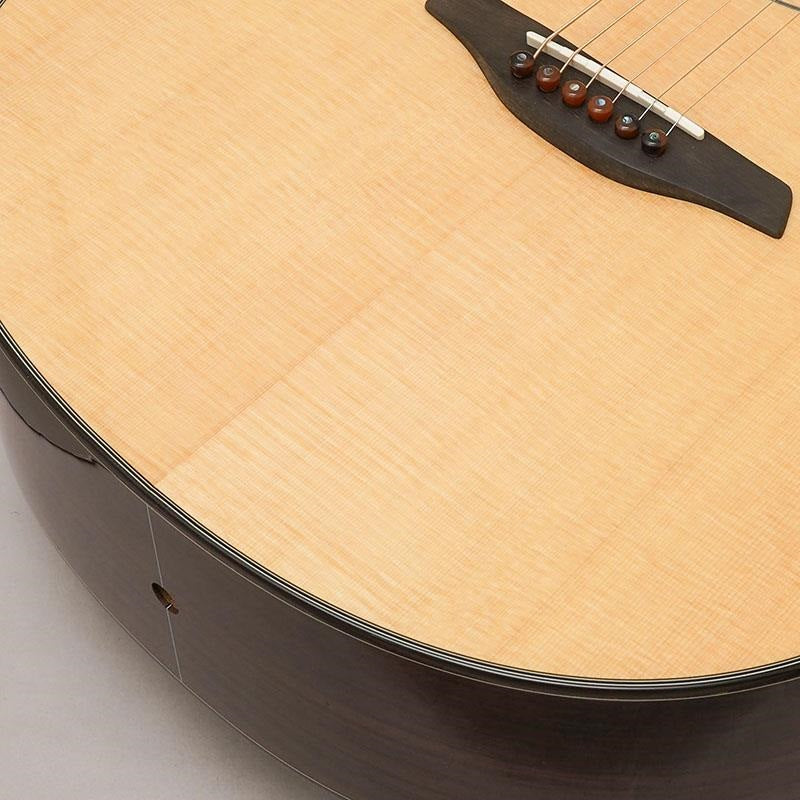 Yellow_Gc-SRa_#133826_Forhi_08