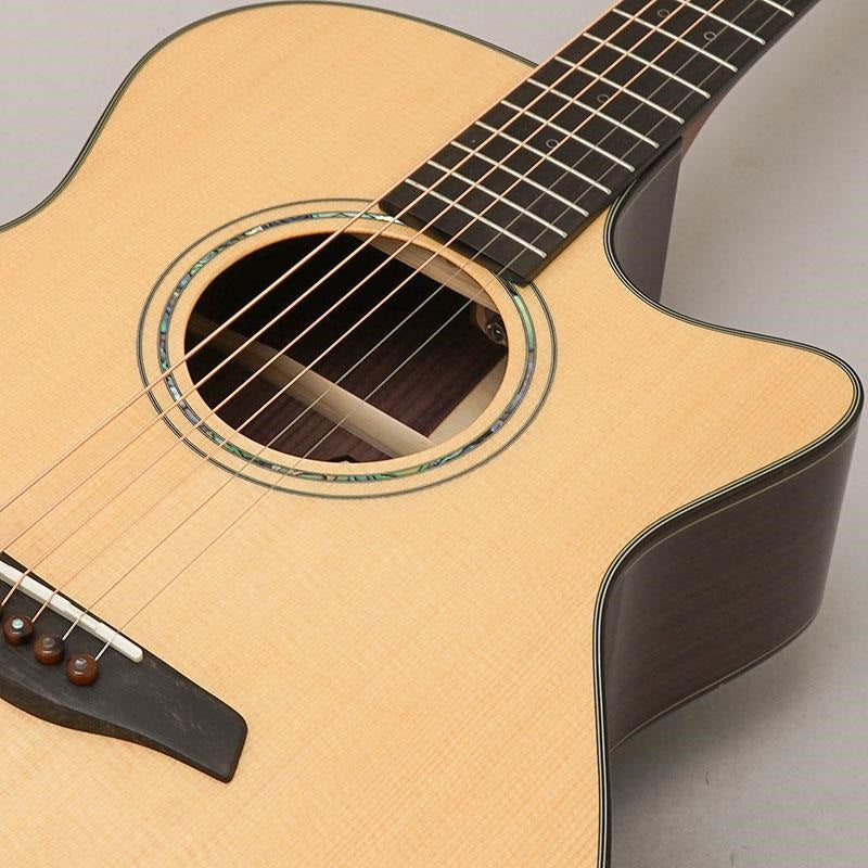 Yellow_Gc-SRa_#133828_Forhi_07