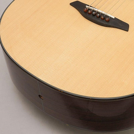 Yellow_Gc-SRa_#133828_Forhi_08