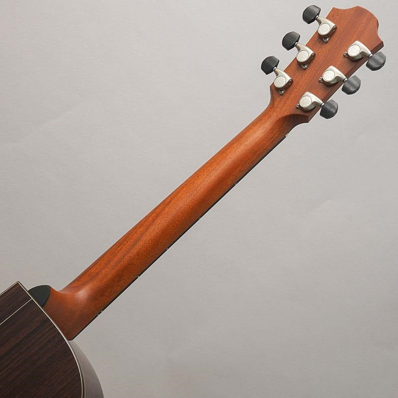 Yellow_Gc-SRa_#135101_Forhi_10