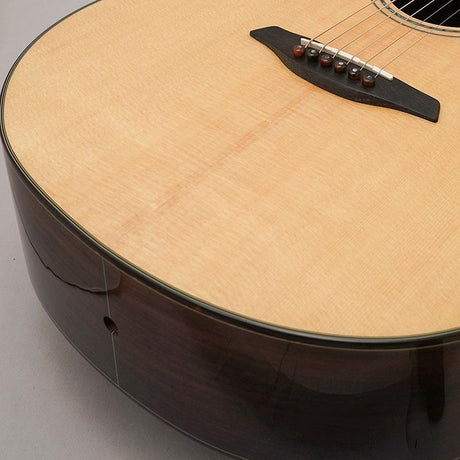 Yellow_Gc-SRa_#135102_Forhi_08