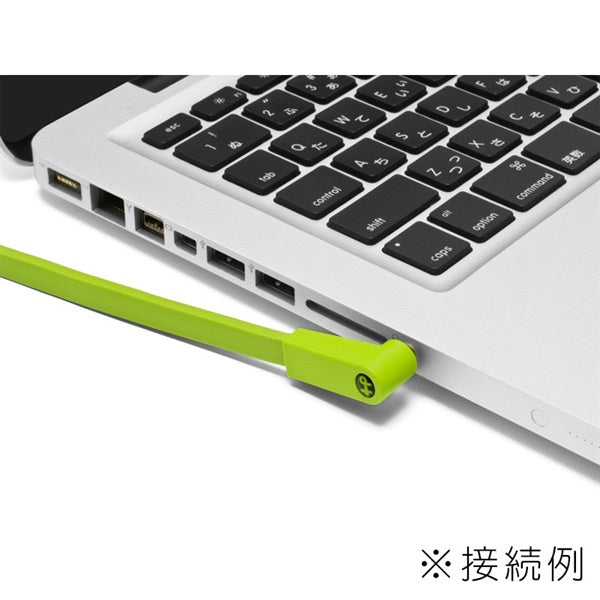 d+MYR_class_B_[2_5m]_(3_5mm_mini_stereo_to_RCA_(x2)_Y_cable)_04