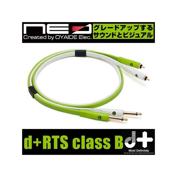 d+RTS_class_B(_1_4Phone_-_RCA_)_[1_0m]_02