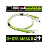 d+RTS_class_B(_1_4Phone_-_RCA_)_[1_0m]_02