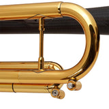 daCarbo___Unica_GL_[Bb_Trumpet]_04